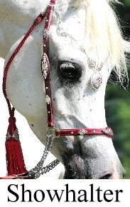Showhalter