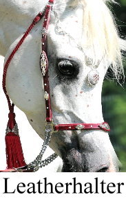 Leatherhalter