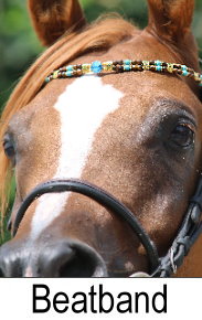 Beads Browbands