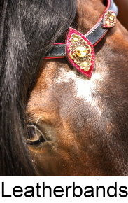 Leatherbands