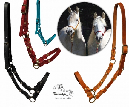 Oiledleather halter one color Create YOURS!