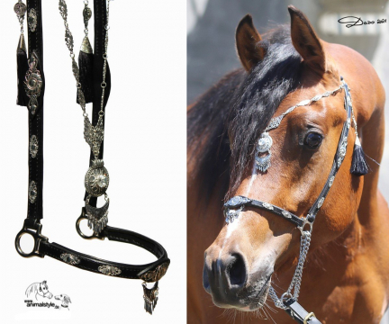 Magic Silver Magic Silver