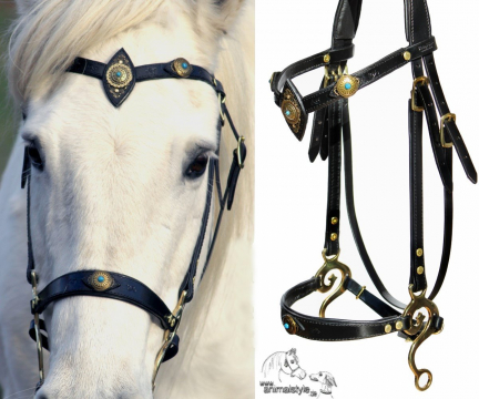 Hackamore Thunder Hackamore Thunder
