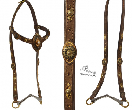 Arabian Kingsten