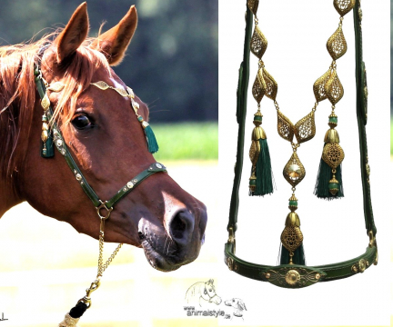 Arabian Elegance Arabian Elegance