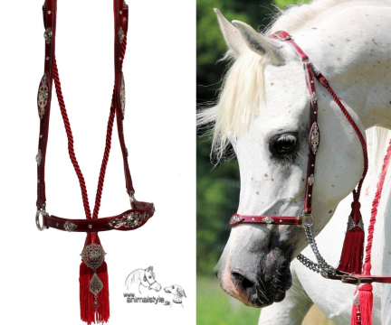 Arabian Fire Arabian Fire