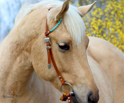 Einohr Trense Fancy Beads