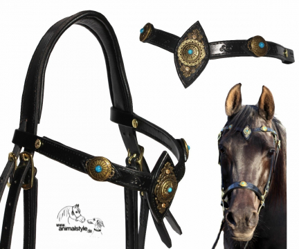 Hackamore Thunder