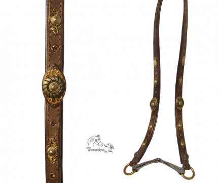 Arabian Kingsten