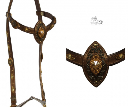 Arabian Kingsten