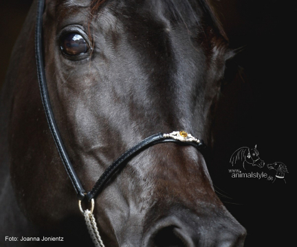 Noble Citrin